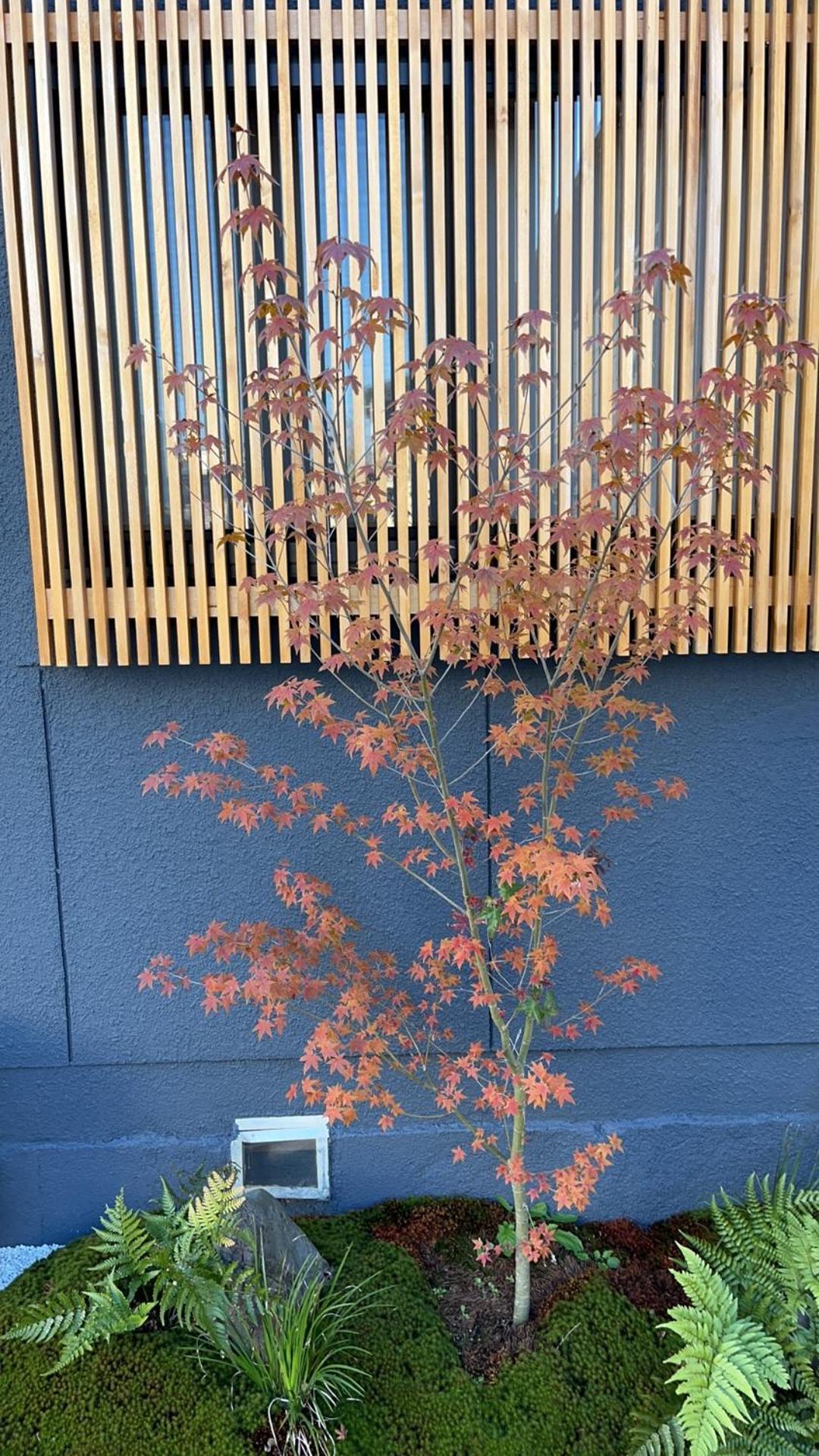 静雅の宿 Kyoto Bagian luar foto